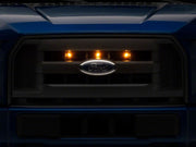 Photo - Close Up