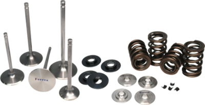 Ferrea 01-08 Kawasaki KLX 400/KFX 400 Valve Spring Kit